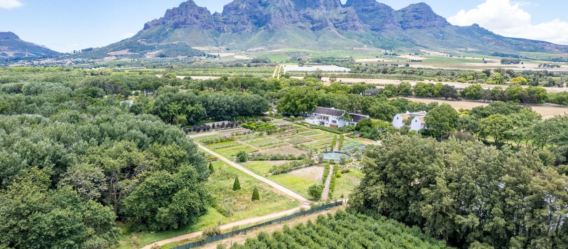 MicrosoftTeams-image (9)